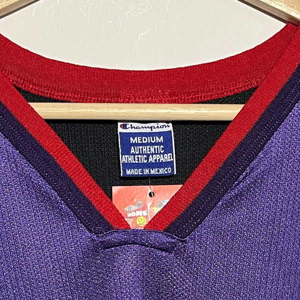 Vintage Vince Carter Toronto Raptors Jersey M