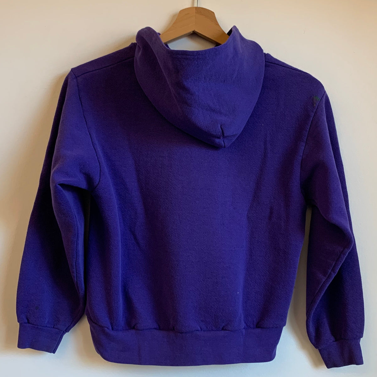 Vintage Minnesota Vikings Sweatshirt Hoodie Youth M – Laundry