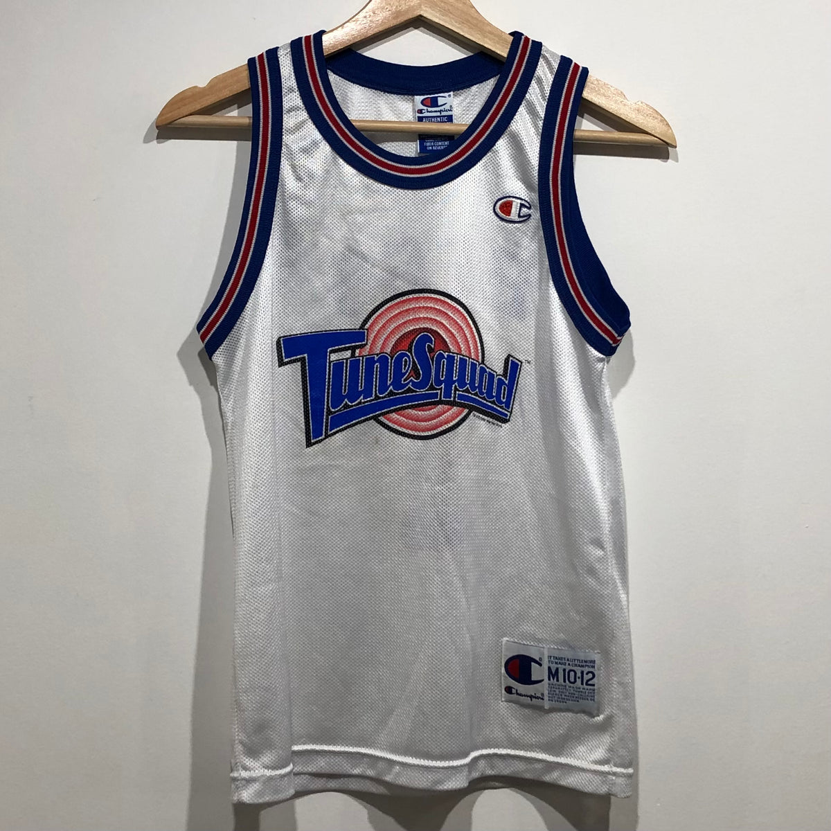 Vintage 1995 Space Jam TUNE SQUAD Champion Basketball Jersey – Vintage  Instincts