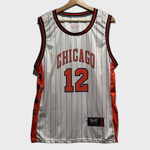 Ayo Dosunmo Chicago Bulls Jersey L