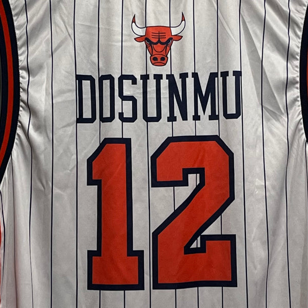 Ayo Dosunmo Chicago Bulls Jersey L