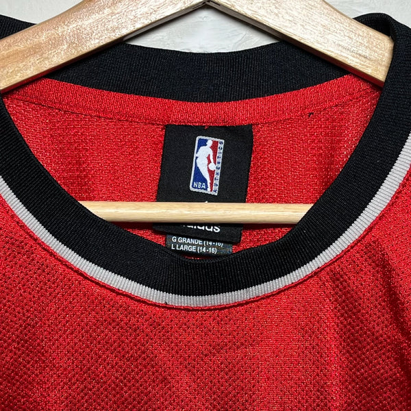 Brandon Roy Portland Trail Blazers Basketball Jersey Youth L