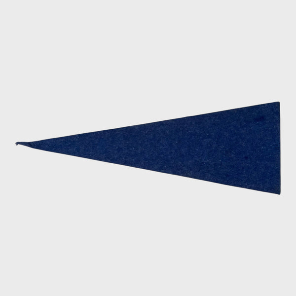 Vintage 1950s Kentucky Wildcats Mini Pennant