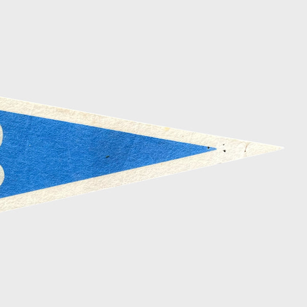 Vintage Salem Sportswear Shaquille O’Neal Orlando Magic Caricature Pennant