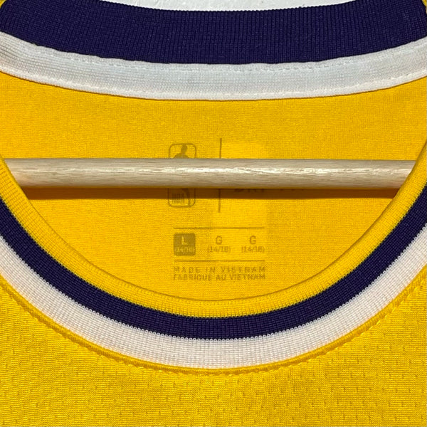 LeBron James Los Angeles Lakers Basketball Jersey Youth L
