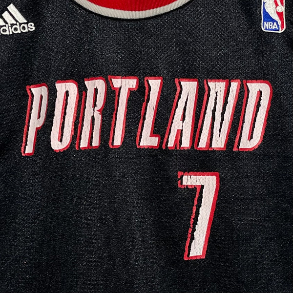 Brandon Roy Portland Trail Blazers Jersey Youth L