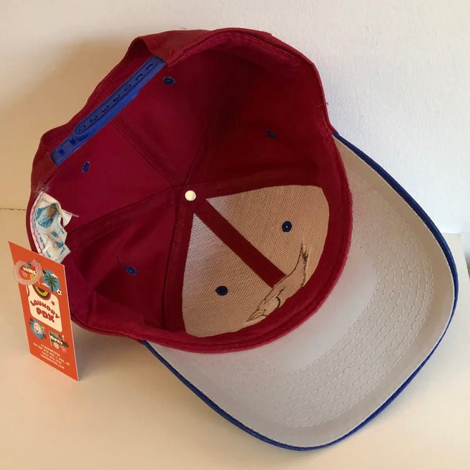 Vintage 1990s Arizona Cardinals Football Snapback Hat – Laundry