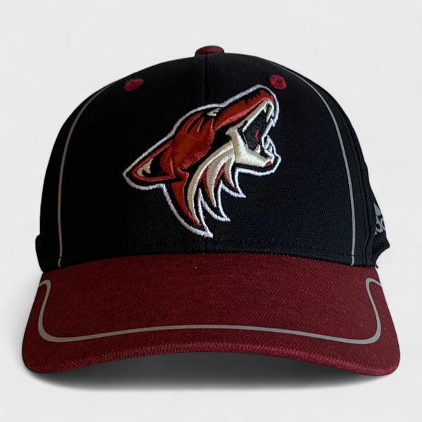 Arizona Coyotes Flex Fit Hat