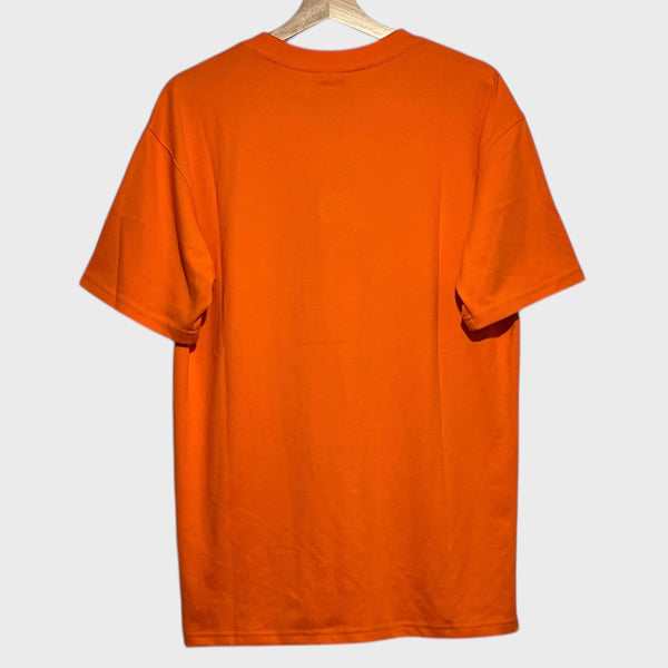 Nike ACG Scorpion Tee Shirt S