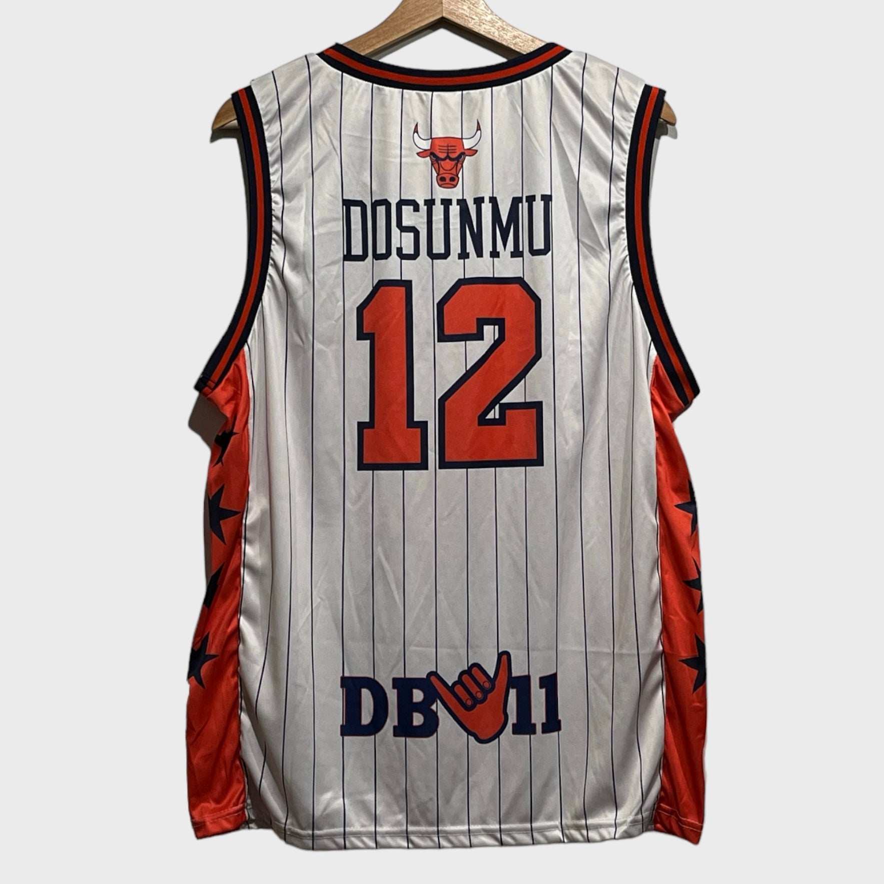 Ayo Dosunmo Chicago Bulls Jersey L