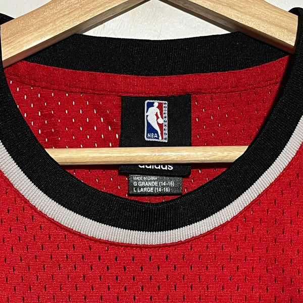 Brandon Roy Portland Trail Blazers Basketball Jersey Youth L