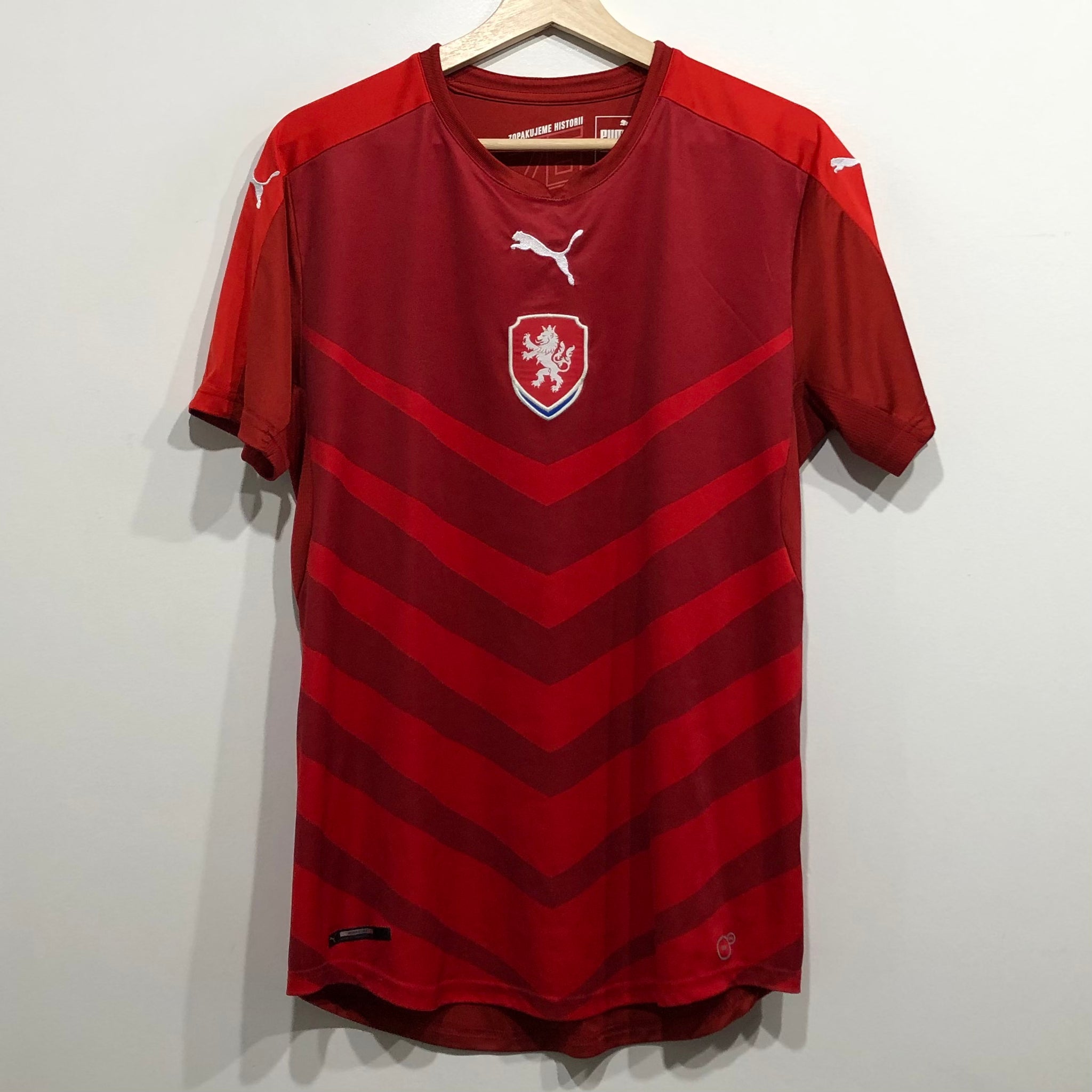 Czech 2024 soccer jersey