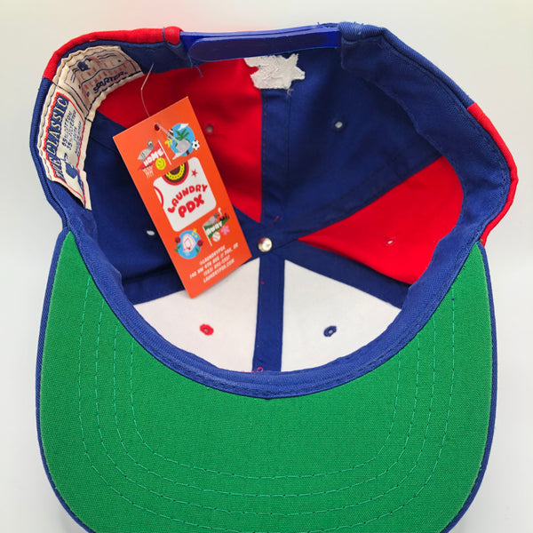 Vintage Chicago Cubs Snapback Hat Starter Youth