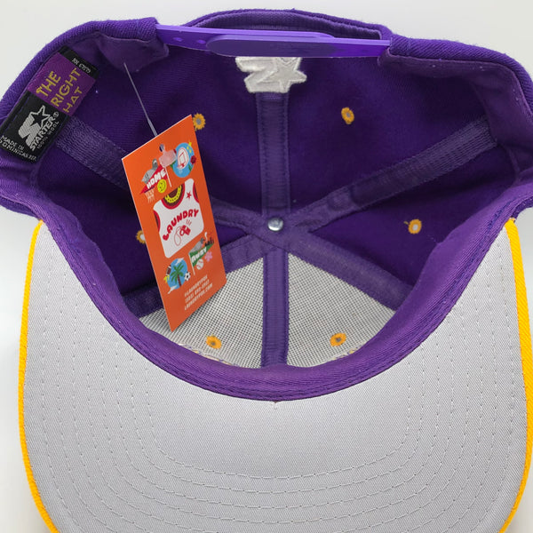 Vintage Washington Huskies Snapback Hat Starter