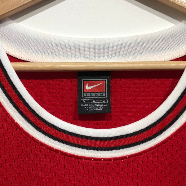 Michael jordan sales bulls jersey nike